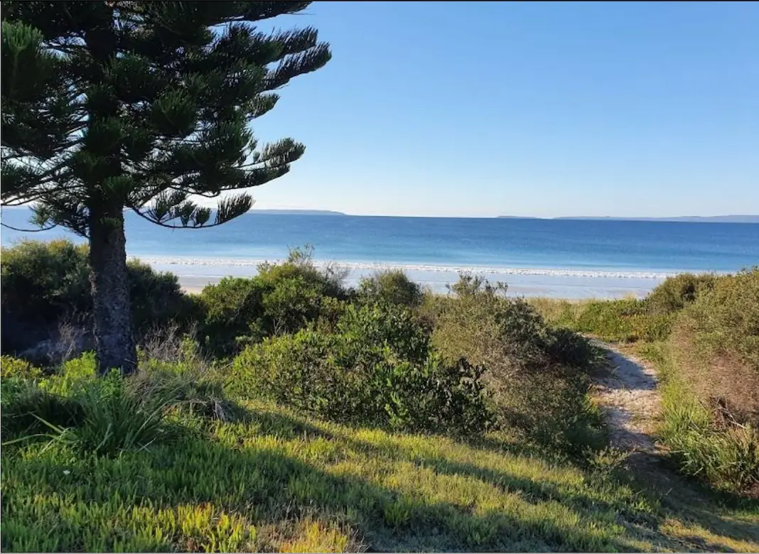 Beach Access Tracks